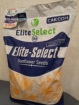 Соняшник (ЕС САКСОН). Насіння соняшнику "САКСОН". Насіння під гранстар [САКСОН]. Екстра