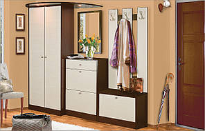 Передпокій Альба плюс корпус ДСП дуб Венге темний, дуб Венге світлий 1900*450*1940 мм (Скай TM)