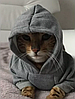 Худі для котів Pet Style "Security" Сірий XS, фото 9