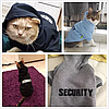 Худі для собак Pet Style "Security" Чорний XS, фото 8