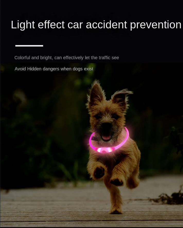 Нашийник USB для собак та котів що світиться 40 см, фото 1