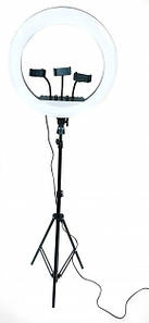 Кільцева LED-лампа RL-14 36 см 220 V 1 кріп.тел. + пульт + чохол + Штатив тринога