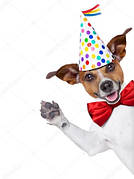 Ковпаки святкові карнавальні