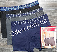 Vovoboy трусы классика в темных оттенках