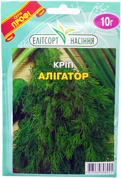 Насіння кропу кущового Алігатор 10 г пізньостиглий
