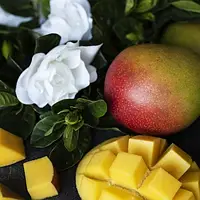 Ароматизатор для мила и свічок Манго і гарденія (аромаолія CandleScience Mango and Gardenia)