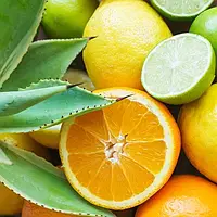 Ароматизатор для мила и свічок Цитрусова агава (аромаолія CandleScience Citrus Agave)