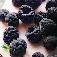 Ароматична олія Чорна малина Ваніль (CandleScience Black Raspberry Vanilla), 100 грамів