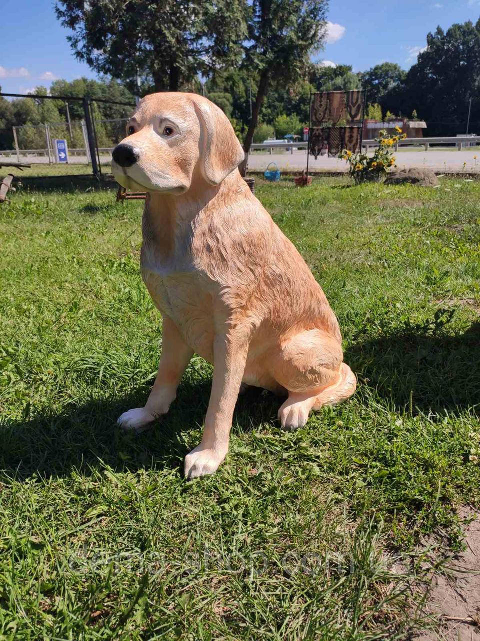 Фигура Садовая Лабрадор. Декоративная Садовая Фигура. — Купить Недорого ...