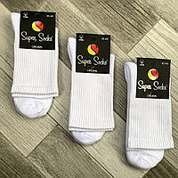 Носки мужские махровая стопа хлопок Super Socks, арт. 005, размер 42-44, белые, 08912