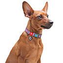 Нашийник 31-49 см 25 мм WAUDOG Re-cotton з QR паспортом відновлена бавовна пластикова пряжка фіолет для собак, фото 4