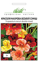 Красоля махрова Везувій суміш Професійне насіння 2 г
