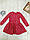 Плаття дитяче для дівчинки флок Квіти розмір 4-7 років, колір уточнюйте під час замовлення, фото 3