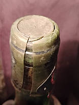 Вино 1976 року Chianti Turricchio Італія, фото 2