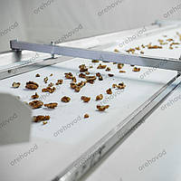 Инспекционный стол для сортировки грецкого ореха, кофе, семян и тд, сортировщик