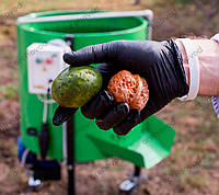 Очиститель грецкого ореха от зеленой кожуры, Мойка ореха, пилинг для ореха (300 кг/ч)