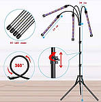 Led-лампа для рослин Wi-Grain фітолампа з таймером 4 гілки,треногою. Червоний і синій LED, фото 7