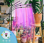 Led-лампа для рослин Wi-Grain фітолампа з таймером 4 гілки,треногою. Червоний і синій LED, фото 10