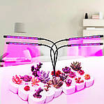 Led-лампа для рослин Wi-Grain фітолампа з таймером 4 гілки,треногою. Червоний і синій LED, фото 8