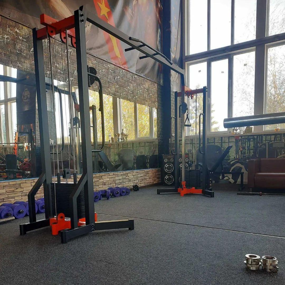 Подвійна блокова рамка з регульованим положенням рукоятки стек 2 по 100 кг Профсерія Силові тренажери