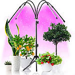 Led-лампа для рослин Wi-Grain фітолампа з таймером 4 гілки,треногою. Червоний і синій LED, фото 3