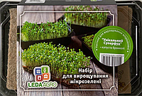 Набір мікрозелені "Унікальний Суперфуд", брокколі (ЛАН)