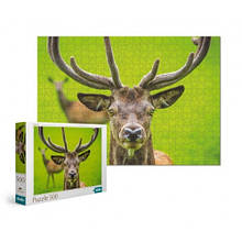Пазл 500 ел 300538 Граціозний олень розм.зібр.пазла 33*47 см в кор.23*4*33 см (dodo)