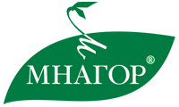 Насіння кукурудзи МНАГОР