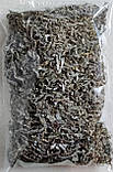 Ламінарія сушена (морська капуста) 250 г, фото 2