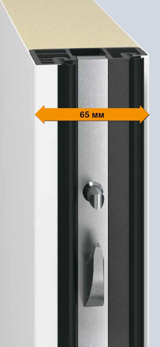 Дверь входная для дома THERMO 65 2017 размер под заказ Titan Metallic CH703 - фото 3 - id-p287141802