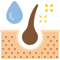 Краса (волосся, нігті, шкіра)