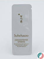 Sulwhasoo concentrated ginseng brightening spot ampoule 1ml, Отбеливающая ампула с концентрированным женьшенем