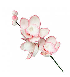Гілочка орхідеї тонована рожева