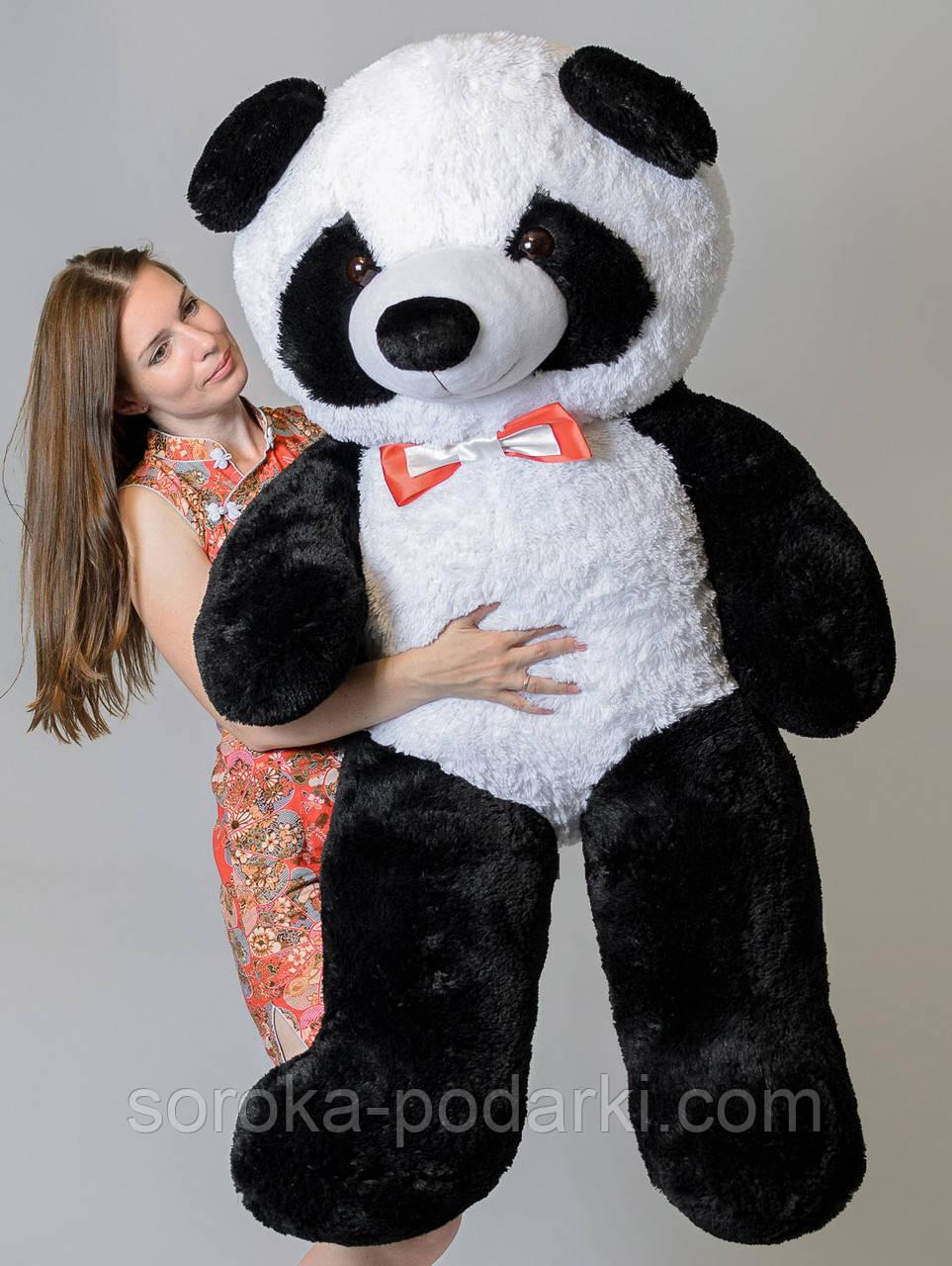 М'яка іграшка плюшевий ведмедик Панда 160 см Чорний HappyDays, фото 1