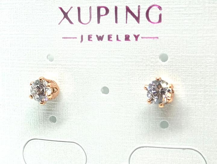 Жіночі сережки гвоздики XuPing