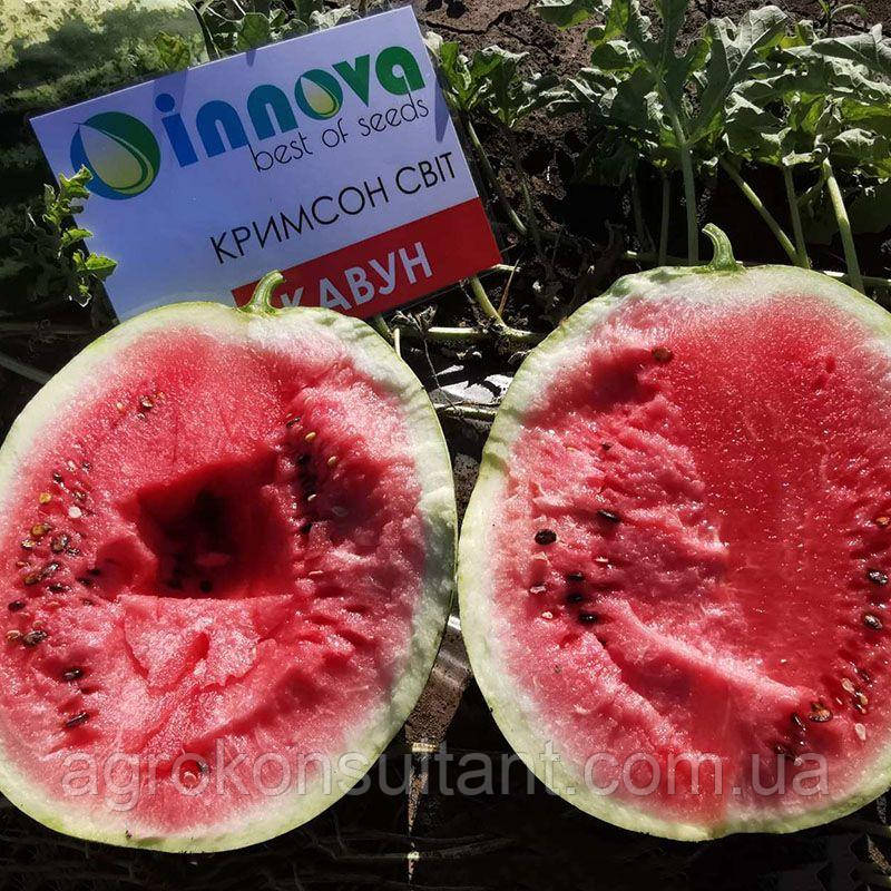 Насіння кавуна Кримсон Світ (Innova Seeds), 1 г - скоростиглий, середньоранній сорт з округлими смугастими плодами