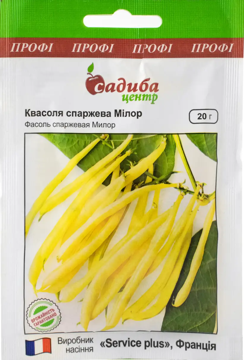 Насіння Квасоля спаржева МІЛОР, 20 г. СЦ