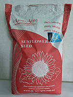 Неймар Плюс насіння соняшнику 53ц/га. Соняшник під гранстар (Неймар Плюс) заразиха A-G+. Фракція Екстра, фото 4