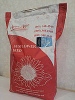 Соняшник під ЄвроЛайтнінг (КЛАУС ІМІ). Ранній соняшник Клаус КЛ 105 днів, 55ц/га, вовчок сім рас A-G, фото 2