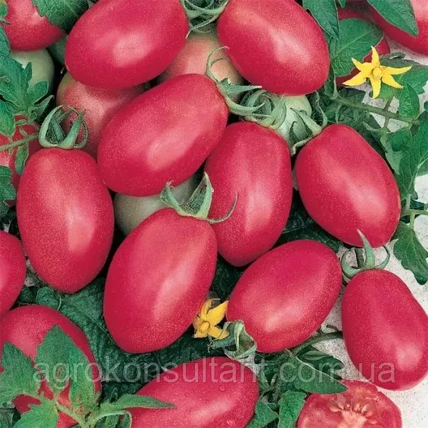 Насіння томата Де Барао рожевий (ТМ "Елітний Ряд"), 30 насінин - індетермінантний, пізньостиглий (120-125 днів)
