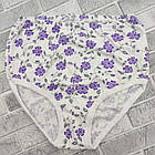 Труси жіночі трикотаж жатка в квіточку БАТАЛ (ростовка 112-128) 100% бавовна 30037186, фото 3