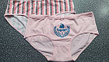 Труси жіночі (ХЛ), фото 4