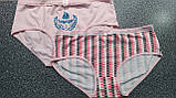 Труси жіночі (ХЛ), фото 5
