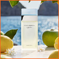 Лайт Блу - Light Blue туалетна вода 100 ml., фото 3