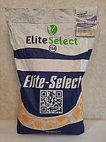 Соняшник під Євролайтінг (ЄС Імібор). Насіння соняшника Имибор "Еліта Селект" 50ц/га. Фракція Стандарт Плюс, фото 2