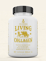 Ancestral Supplements Grass Fed Beef Living Collagen / Колаген 180 капсул