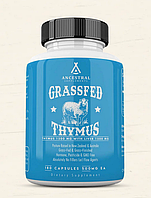 Ancestral Supplements Grass Fed Ovine (Sheep) Thymus / Экстракт тимуса 180 капсул