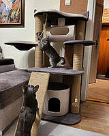 Стильный компактный комплекс когтеточка с домиком для котиков и кошек всех пород 130см