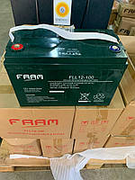 Аккумуляторная батарея FAAM серии FLL12-100