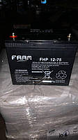 Аккумуляторная батарея FAAM серии FHP12-75